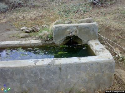 arakoyu_02_08_2007_159.jpg