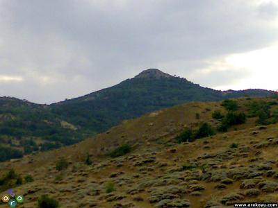arakoyu_02_08_2007_161.jpg