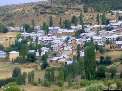 arakoyu_02_08_2007_163.jpg
