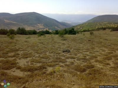 arakoyu_03_08_2007_230.jpg