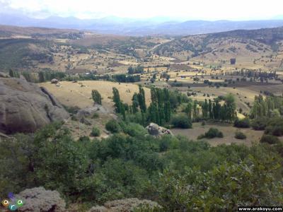 arakoyu_03_08_2007_232.jpg