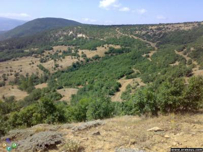 arakoyu_03_08_2007_235.jpg