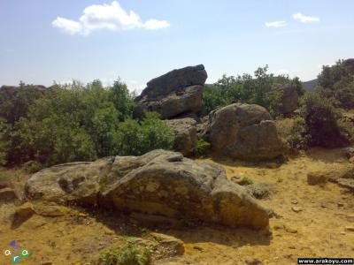 arakoyu_03_08_2007_237.jpg