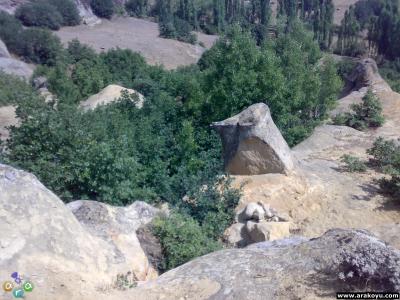 arakoyu_03_08_2007_240.jpg