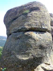 arakoyu_03_08_2007_246.jpg