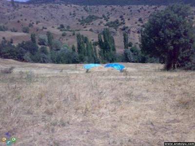 arakoyu_03_08_2007_262.jpg
