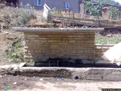 arakoyu_03_08_2007_269.jpg