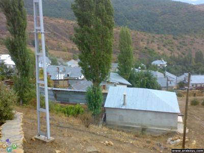 arakoyu_08_10_2010_889.jpg
