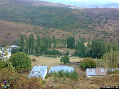 arakoyu_08_10_2010_897.jpg