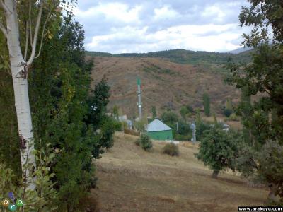 arakoyu_08_10_2010_927.jpg
