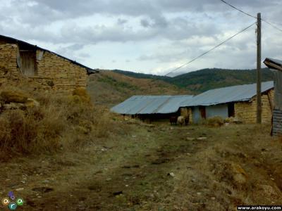 arakoyu_08_10_2010_931.jpg