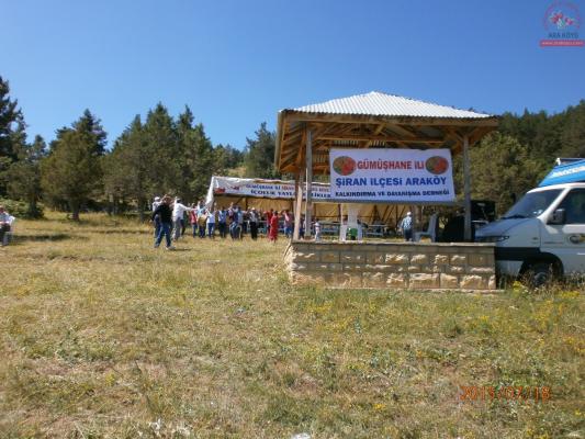 05_enlik_14.jpg