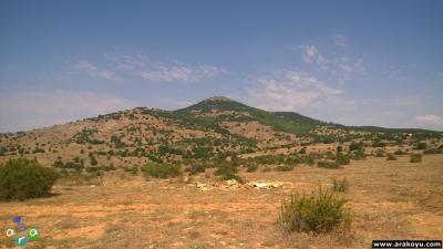 arakoyucom_2014_08_15_045.jpg