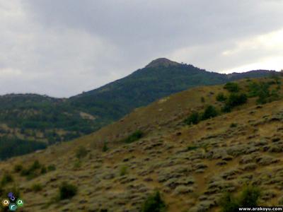 arakoyu_02_08_2007_167.jpg
