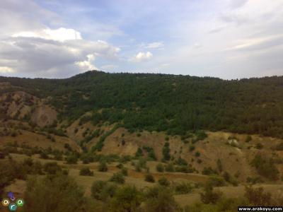arakoyu_02_08_2007_169.jpg