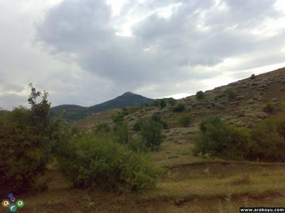 arakoyu_02_08_2007_173.jpg