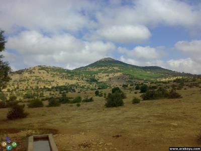 arakoyu_03_08_2007_223.jpg
