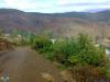 arakoyu_08_10_2010_898_t1.jpg