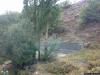 arakoyu_08_10_2010_902_t1.jpg