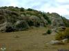arakoyu_08_10_2010_922_t1.jpg