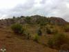arakoyu_08_10_2010_924_t1.jpg
