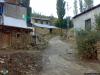arakoyu_08_10_2010_930_t1.jpg