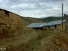 arakoyu_08_10_2010_931_t1.jpg