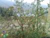 arakoyu_photo-0180_t1.jpg