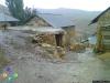 arakoyu_photo-0200_t1.jpg