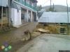 arakoyu_photo-0205_t1.jpg