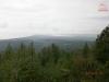 p3290393_t1.jpg