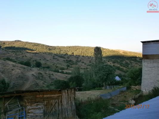 Temmuz 2015 Ara Köyü Manzaralarý