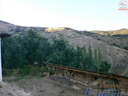 Temmuz 2015 Ara Köyü Manzaralarý