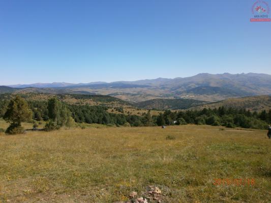 Temmuz 2015 Ara Köyü Manzaralarý