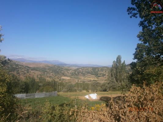 Temmuz 2015 Ara Köyü Manzaralarý