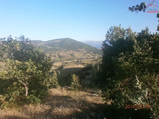 Temmuz 2015 Ara Köyü Manzaralarý