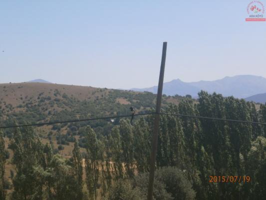 Temmuz 2015 Ara Köyü Manzaralarý