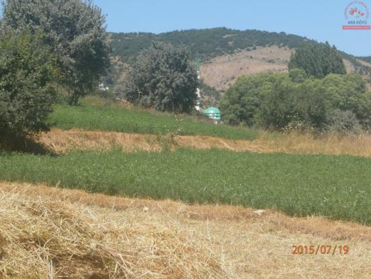 Temmuz 2015 Ara Köyü Manzaralarý