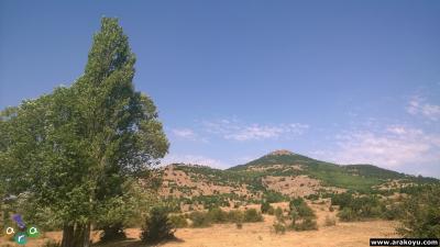 arakoyucom_2014_08_15_050.jpg